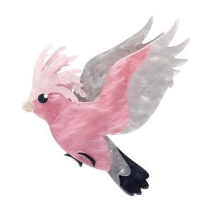 Gertie the Galah 2025