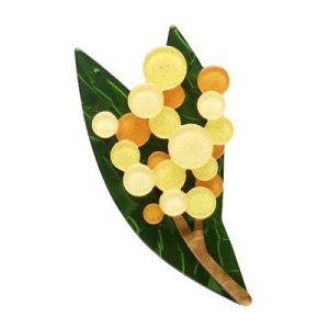 Golden Wattle brooch 2025