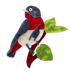 Mabel the Mistletoebird 2025