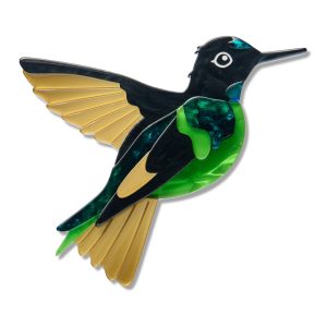 Dusky Starfrontlet 2026