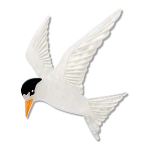 New Zealand Fairy Tern 2026