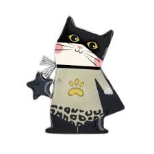 Taratata Supermiaou (super cat with star) Brooch