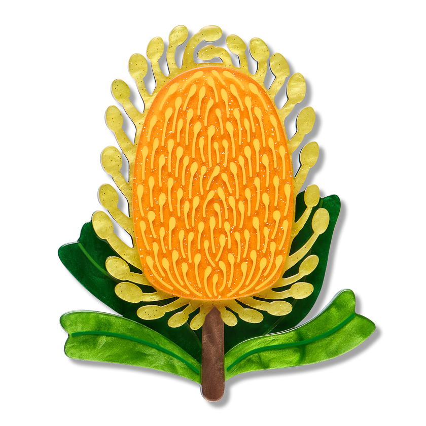 Mountain Banksia Brooch 2026