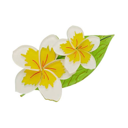 Lei it on Me brooch 2019 (old style silver plated pin - has tarnish)
